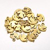 Alloy Charms LS-X-EA9092Y-G-1