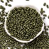 Baking Paint Glass Seed Beads SEED-L011-12A-02-2
