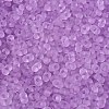 FGB Frosted Transparent Glass Seed Beads SEED-N013-06A-07-3