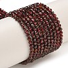 Natural Garnet Beads Strands G-I341-09C-1