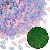 Luminous Transparent Acrylic Beads LACR-D009-01B-1