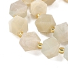 Natural Moonstone Beads Strands G-G271-A02-01-4