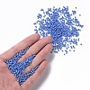 12/0 Glass Seed Beads SEED-US0003-2mm-43B-4