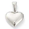 304 Stainless Steel Pendants LS-STAS-P278-01T-P-2