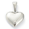 304 Stainless Steel Pendants STAS-P278-01D-P-2
