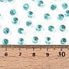 3/0 Baking Paint Glass Fringe Seed Beads SEED-A034-04H-4
