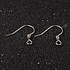 304 Stainless Steel Earring Hook Jewelry Findings STAS-M248-03-1