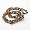 Natural Labradorite Chips Beads Strands LS-F069-4