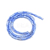 Natural Freshwater Shell Beads Strands SHEL-G013-01I-2