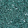 FGB 11/0 Grade A Glass Seed Beads X-SEED-S030-1216-2
