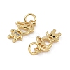 Brass Micro Pave Cubic Zirconia Pendants KK-L243-12G-02-2