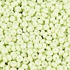 Opaque Glass Seed Beads SEED-N012-09A-07-3