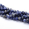 Natural Blue Spot Jasper Round Beads Strands G-O047-01-10mm-2