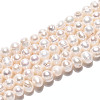 Natural Cultured Freshwater Pearl Beads Strands PEAR-N026-02-2