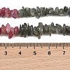 Natural Multicolor Tourmaline Chip Bead Strands G-M298-15A-3
