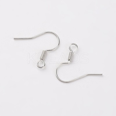 Iron Earring Hooks X-E133-S-1