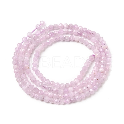 Natural Kunzite Beads Strands G-P603-C-2mm-05-1