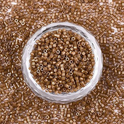 FGB 11/0 Grade A Baking Paint Glass Seed Beads X-SEED-S030-1146-1
