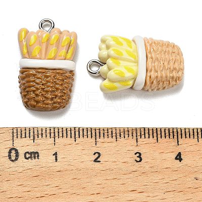 Opaque Resin Pendants RESI-F057-01-1