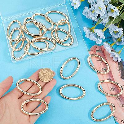 20Pcs Alloy Spring Gate Rings PALLOY-SC0010-53B-G-1