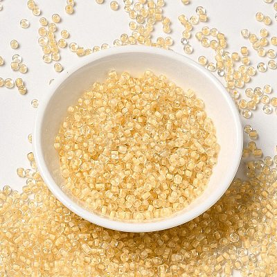 12/0 Transparent Glass Seed Beads SEED-F003-03C-14-1