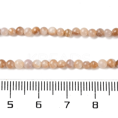 Natural Pink Shell Beads Strands SHEL-D002-A01-3mm-1