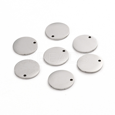 Tarnish Resistant 304 Stainless Steel Charms STAS-I141-03B-P-1