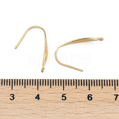 304 Stainless Steel Ear Wire Accessory STAS-Q336-12B-G-1