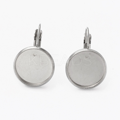 Tarnish Resistant 304 Stainless Steel Leverback Earring Findings STAS-L253-005C-P-1