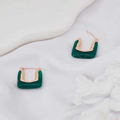 1 Pair Alloy with Resin Hoop Earrings for Women EJEW-LP0004-71A-1