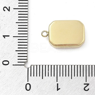 316 Surgical Stainless Steel Pendants STAS-S159-02B-G-1