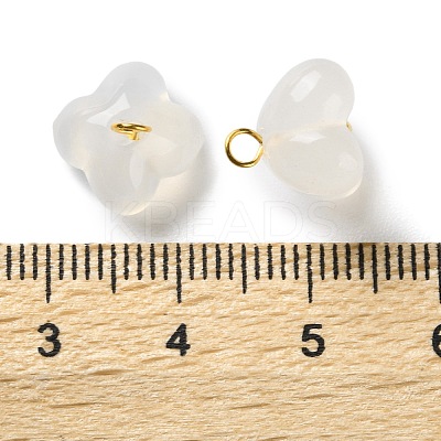 Natural Agate Osmanthus Flower Charms G-G179-03-1