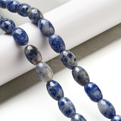 Natural Blue Spot Jasper Beads Strands G-B106-B29-01-1
