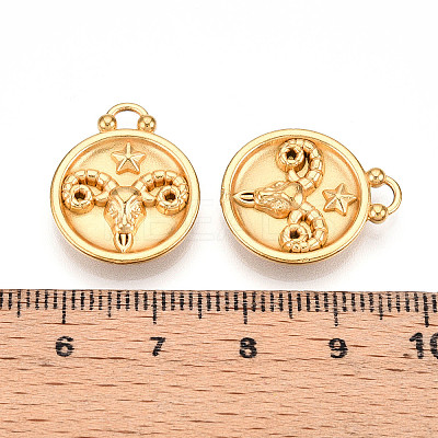 304 Stainless Steel Pendants STAS-N109-148G-01-1