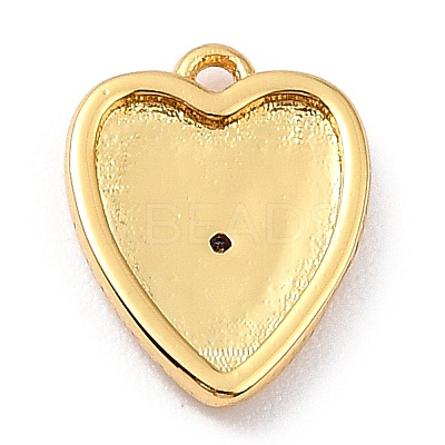 Brass Micro Pave Cubic Zirconia Charms LS-ZIRC-I054-14G-06-1