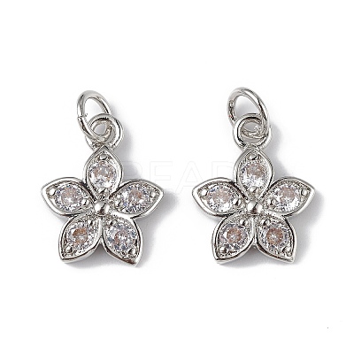 Rack Plating Brass Micro Pave Cubic Zirconia Charms KK-F848-13P-1