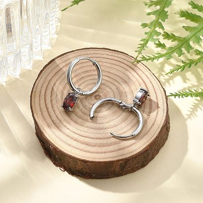 304 Stainless Steel Micro Pave Cubic Zirconia Hoop Earrings STAS-R004-07P-01-1