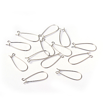 Brass Hoop Earrings Findings Kidney Ear Wires EC221-1