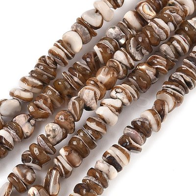 Natural Black Lip Shell Beads Strands SSHEL-F304-02A-1