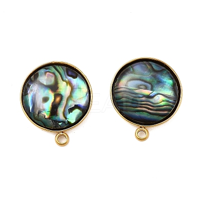 304 Stainless Steel Pave Natural Paua Shell Stud Earring Findings STAS-Z125-10G-1