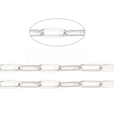 Tarnish Resistant 304 Stainless Steel Paperclip Chains STAS-K209-07P-1
