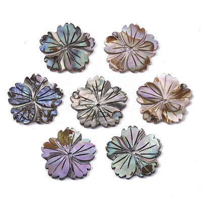 Natural Paua Shell/Abalone Shell Beads X-SSHEL-R046-02-1