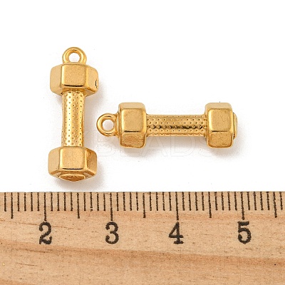 Ion Plating(IP) 304 Stainless Steel Pendants STAS-N103-79G-1