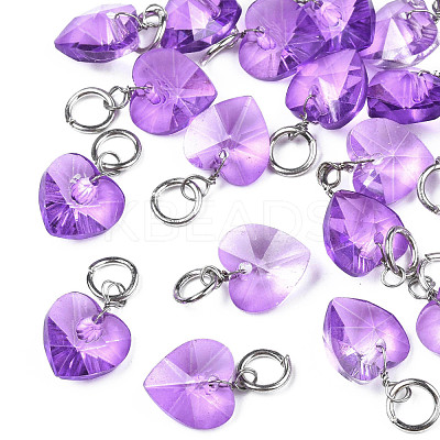 Faceted Transparent Glass Charms GLAA-T024-04B-1