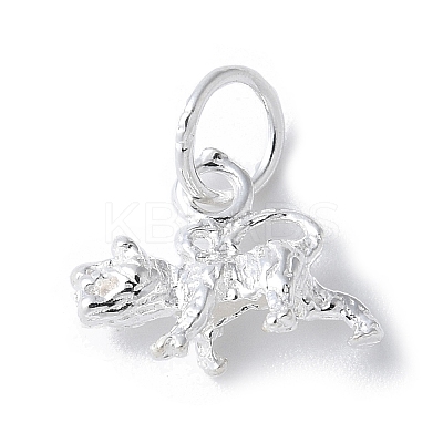 925 Sterling Silver 3D Chinese Zodiac Charms STER-P066-01S-03-1