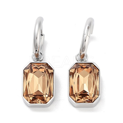 304 Stainless Steel Hoop Earring EJEW-C017-06P-04-1