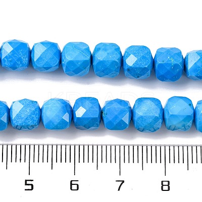 Natural Howlite Beads Strands G-G001-B03-04-1