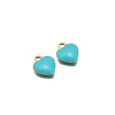Stainless Steel Charms PW-WG0E535-02-1