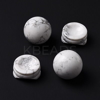 Natural Howlite Display Decorations DJEW-G032-02J-1