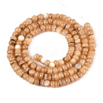Natural Freshwater Shell Dyed Beads Strands SHEL-T020-29A-04-1